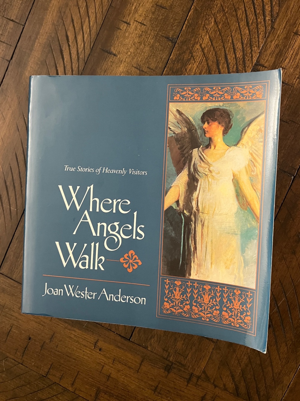 Where Angels Walk Book